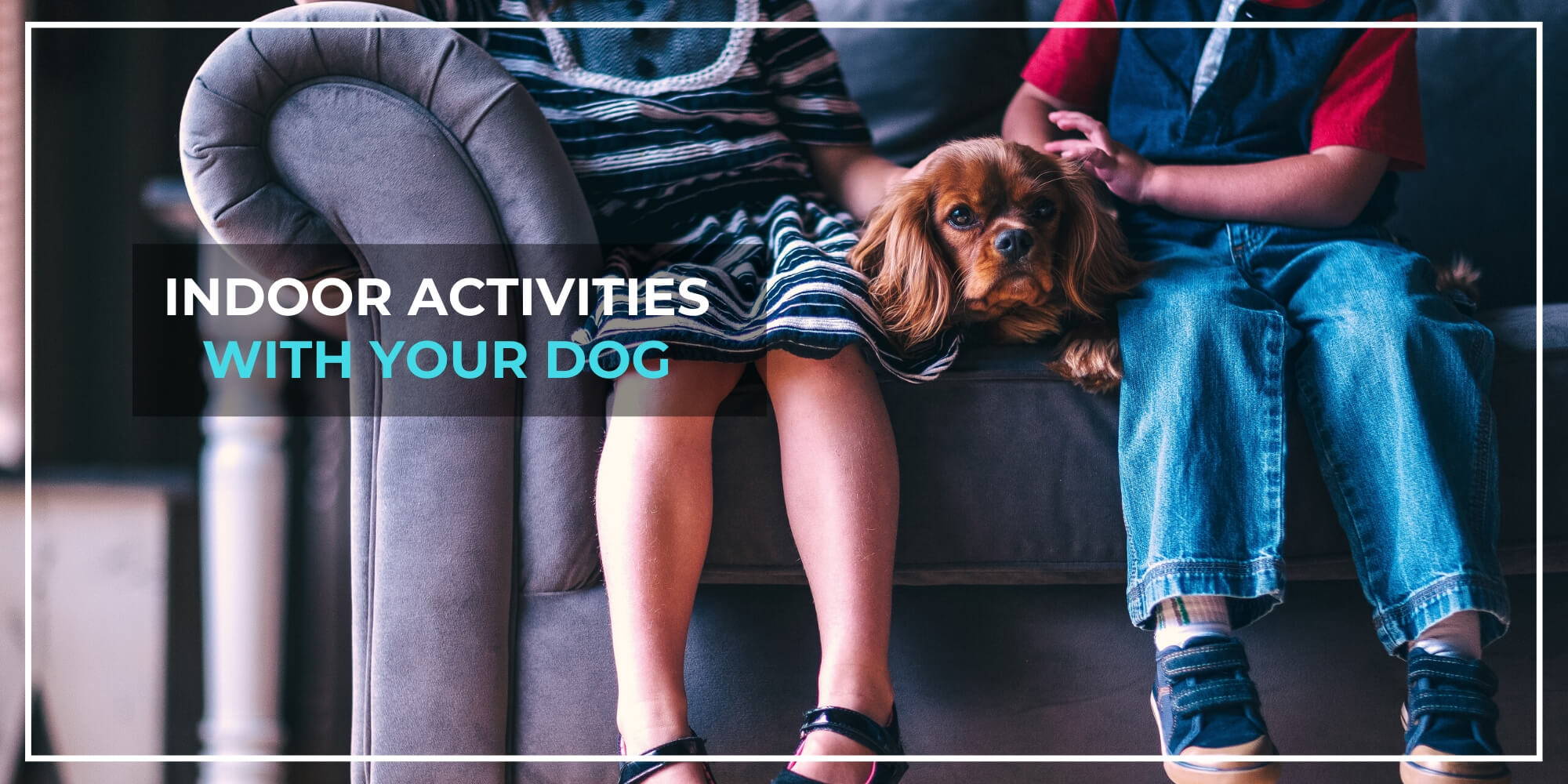 Indoor Activities For Your Dog