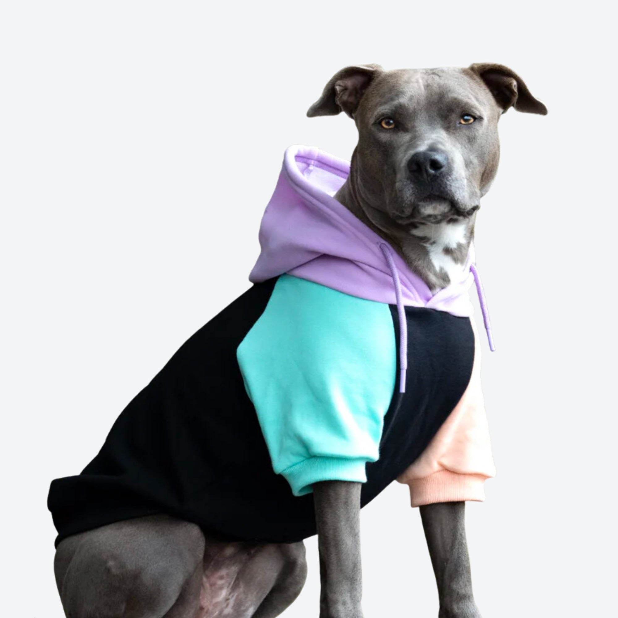 犬用パーカー、スウェットシャツ、セーター、ジャンパー – SPARK PAWS