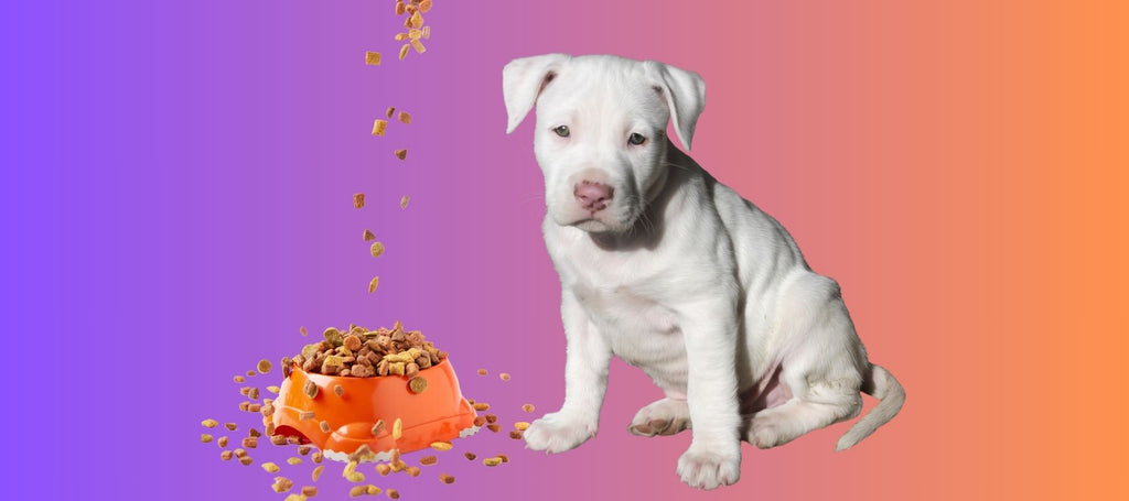 Best Food for Pitbull Puppy Essential Nutrition Guide SPARK PAWS