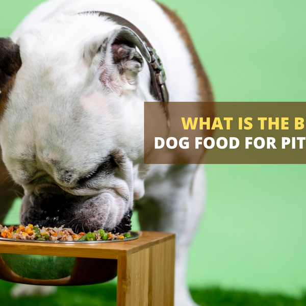 Best grain dog shop food for pitbulls