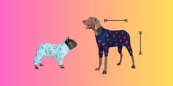 How Do You Measure Your Dog for Pajamas? Finding That Perfect Fit