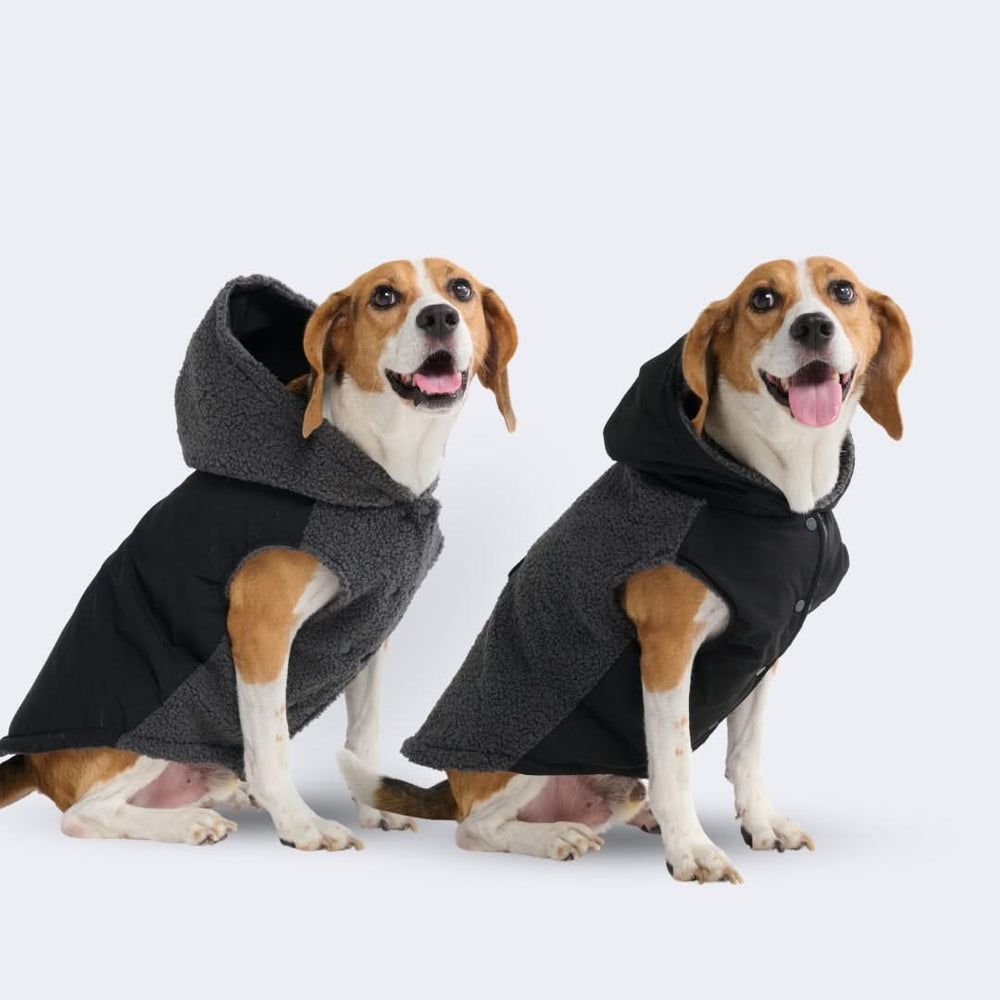 スパークパウズ犬の服、チェーン、首輪、その他 – SPARK PAWS