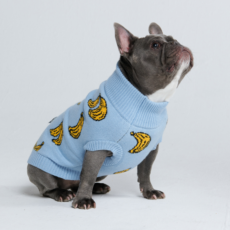 編み犬用セーター - バナナ