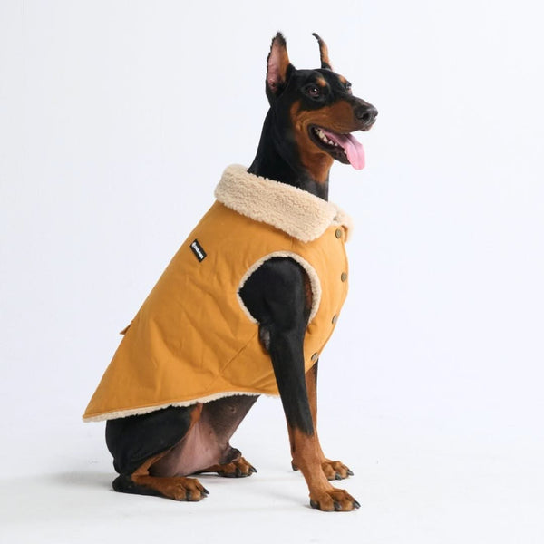 Dog cloth fashion