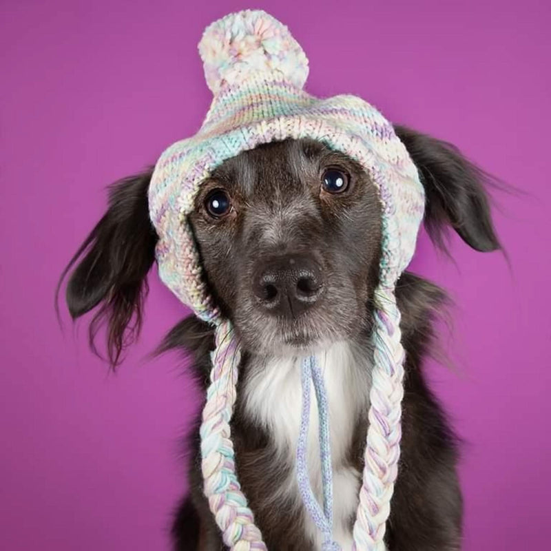 ニットポンポン犬用ビーニーハット -  多数