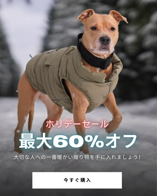 スパークパウズ犬の服、チェーン、首輪、その他 – SPARK PAWS