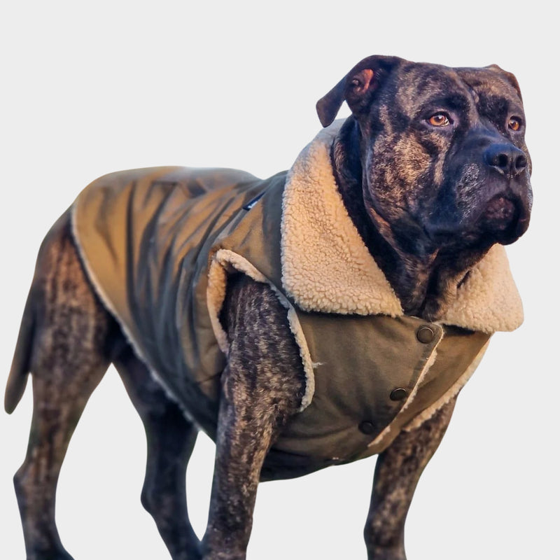 Green All-Terrain Vest