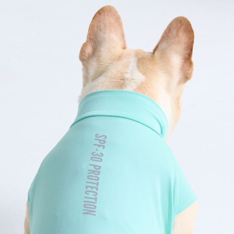 日焼け止め犬用Tシャツ - アクアブルー