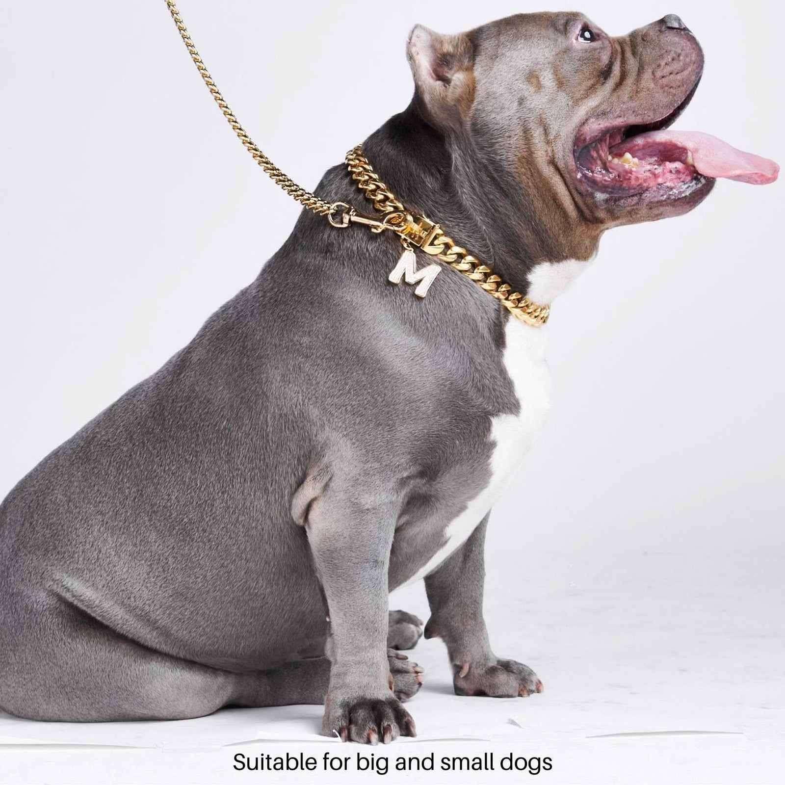 Miami Cuban Link 20mm Dog Gold Chain | Stainless Steel Thick Chain Dog  Collar – SPARK PAWS